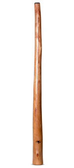 Tristan O'Meara Didgeridoo (TM369)